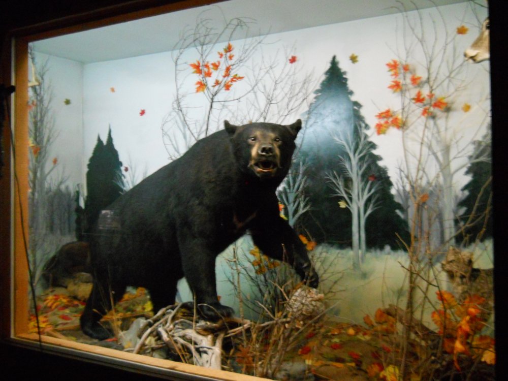 Hill’s Still Supper Club Catering 14 Reviews Supper Clubs 10303