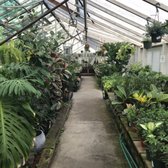 Encinal Nursery 83 Photos 85 Reviews Nurseries Gardening Photo Of Encinal Nursery Alameda Ca United States
