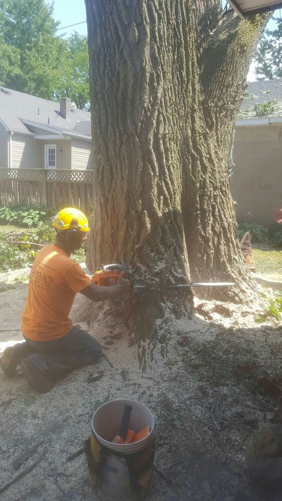 Leopolds Tree Trimming & Removal