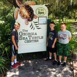 the georgia sea turtle