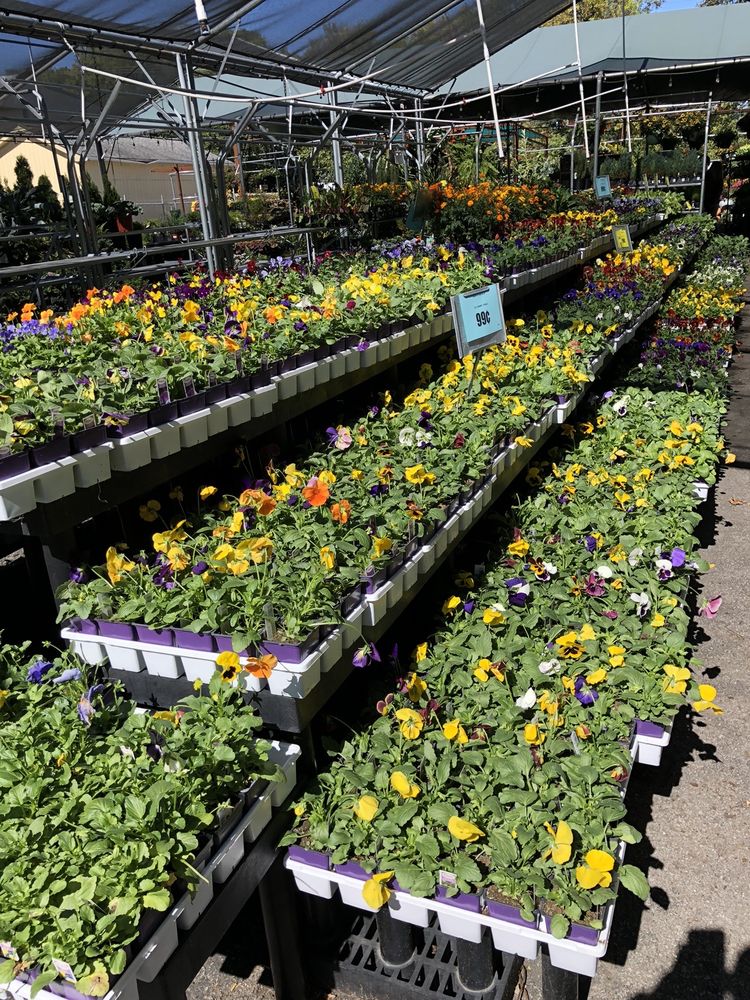 Harpeth True Value Hardware
