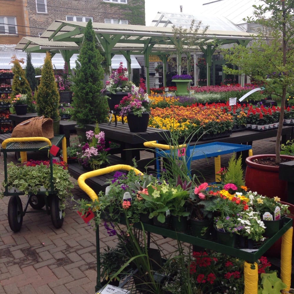 Gethsemane garden center coupon