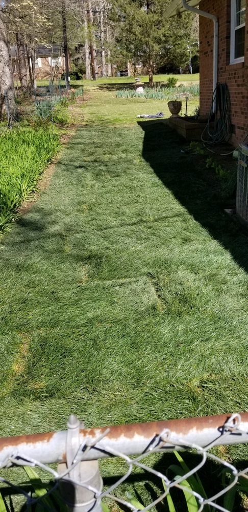 Ramirez Martinez Landscaping