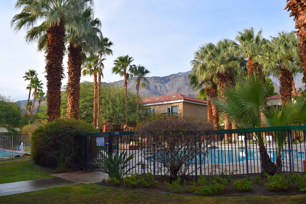 Ivy Palm Resort And Spa Palm Springs Ivy Palm Resort And Spa Palm Springs