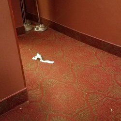 clearview bronxville cinema