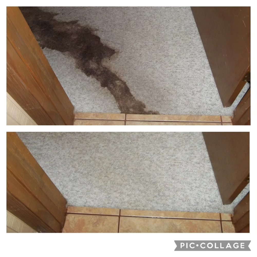 Apex Carpet Solutions
