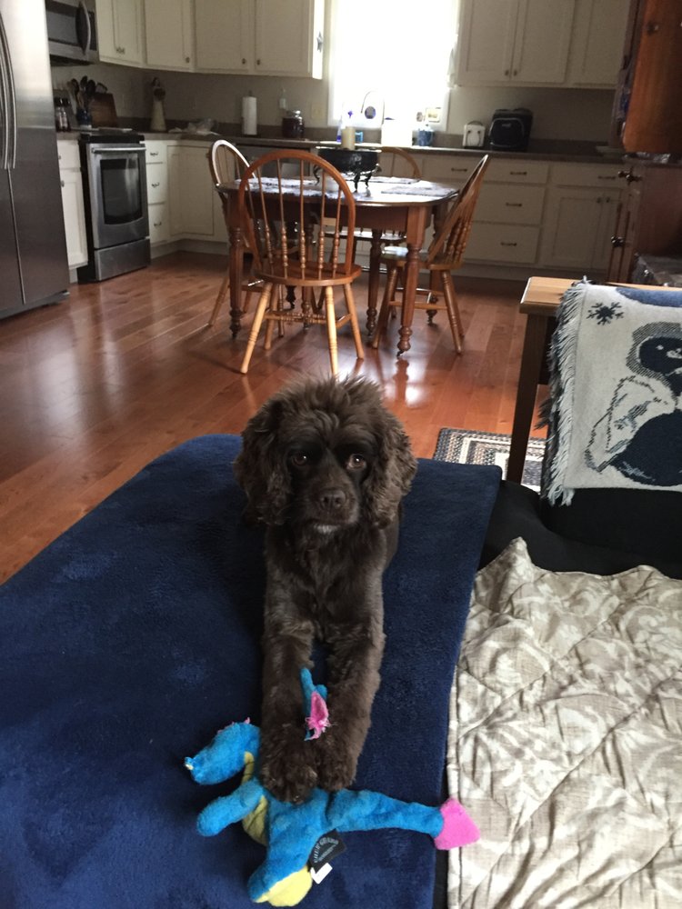 Ludwigs Corner Veterinary Hospital 21 Photos Veterinarians 915