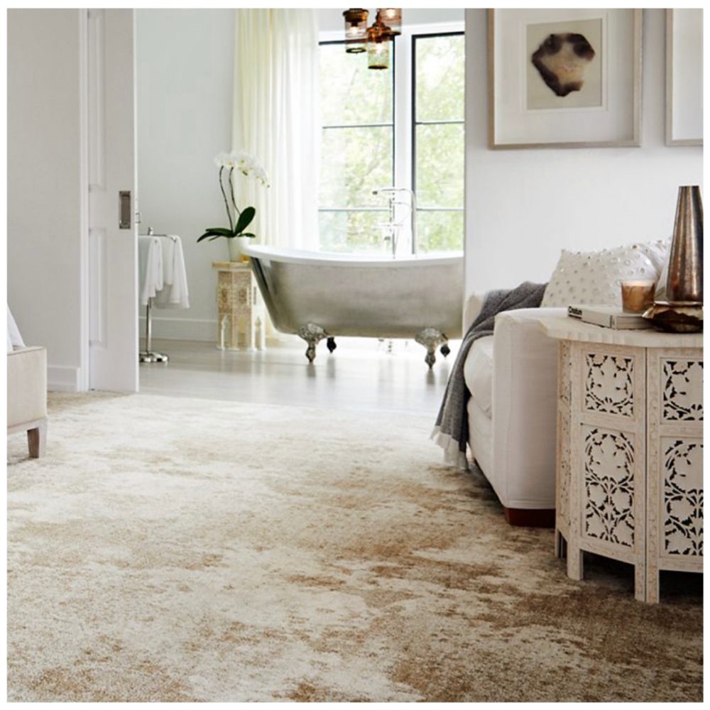 image of business Not Just Carpet