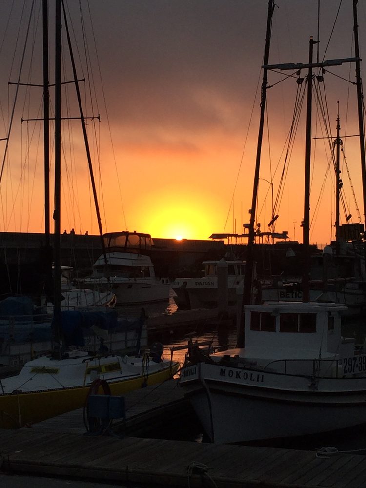 Moss Landing KOA Express 20 Photos & 63 Reviews Campgrounds 7905