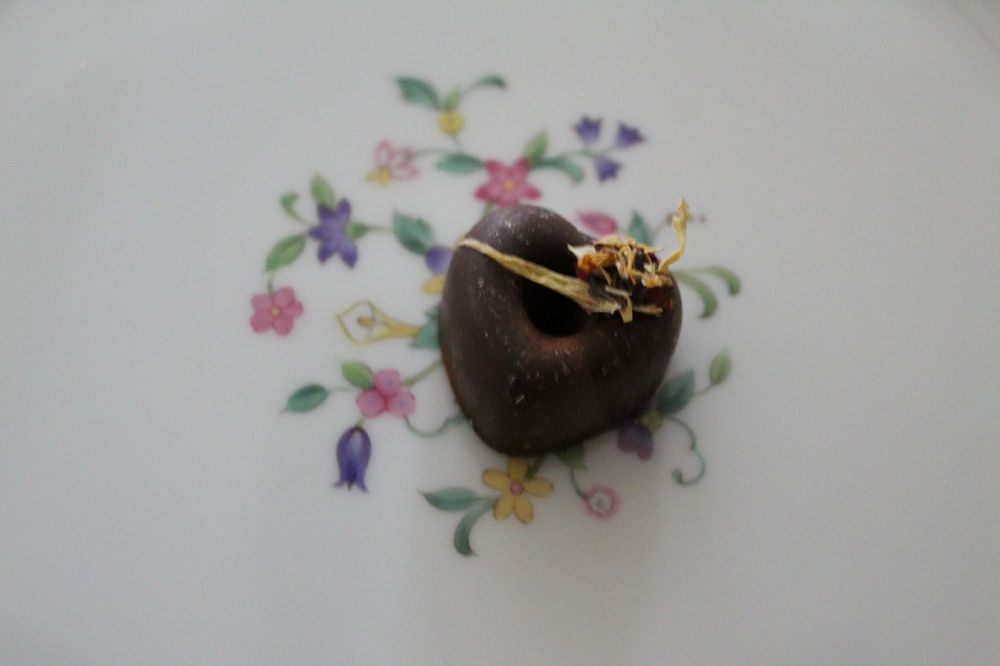 Le Macaron French Pastries - Denton