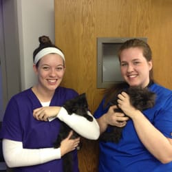 antioch dog and cat hospital antioch dog and cat hospital