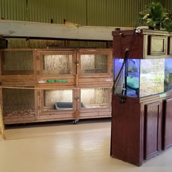 Skunk Ape Research Headquarters - 65 Photos & 13 Reviews - Local Flavor