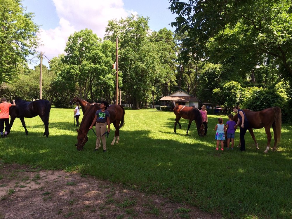 Vantage Point Farm 14 Photos Horseback Riding 8514 Katy Hockley