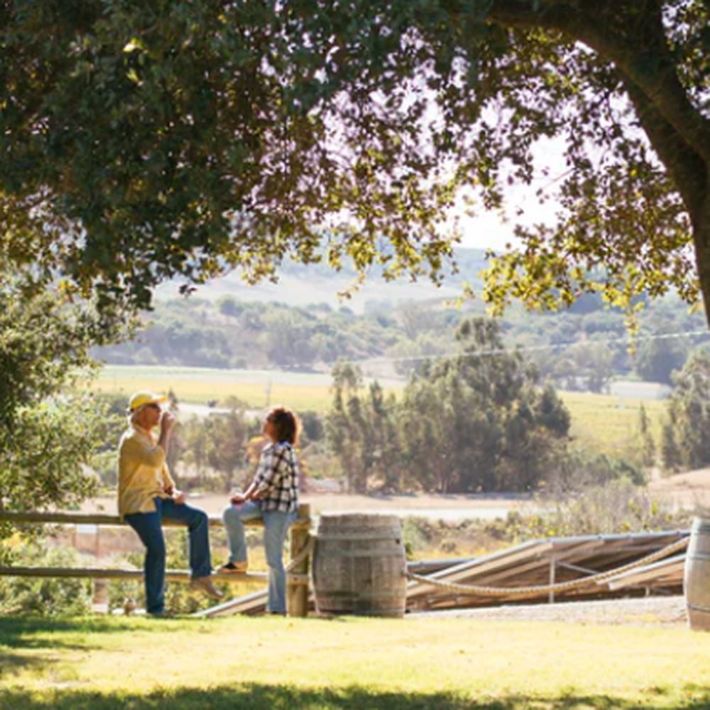 Solvang/Los Olivos Yelp