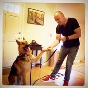 Say It Once Dog Training Reviews Say It Once Dog Training Reviews
