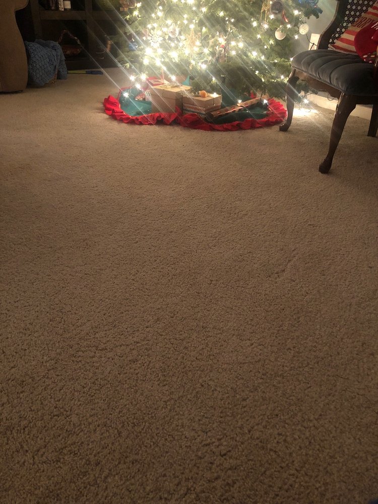 Special Touch Carpet Cleaning