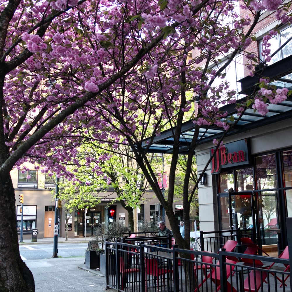 of Davie Street Vancouver Vancouver, BC Yelp