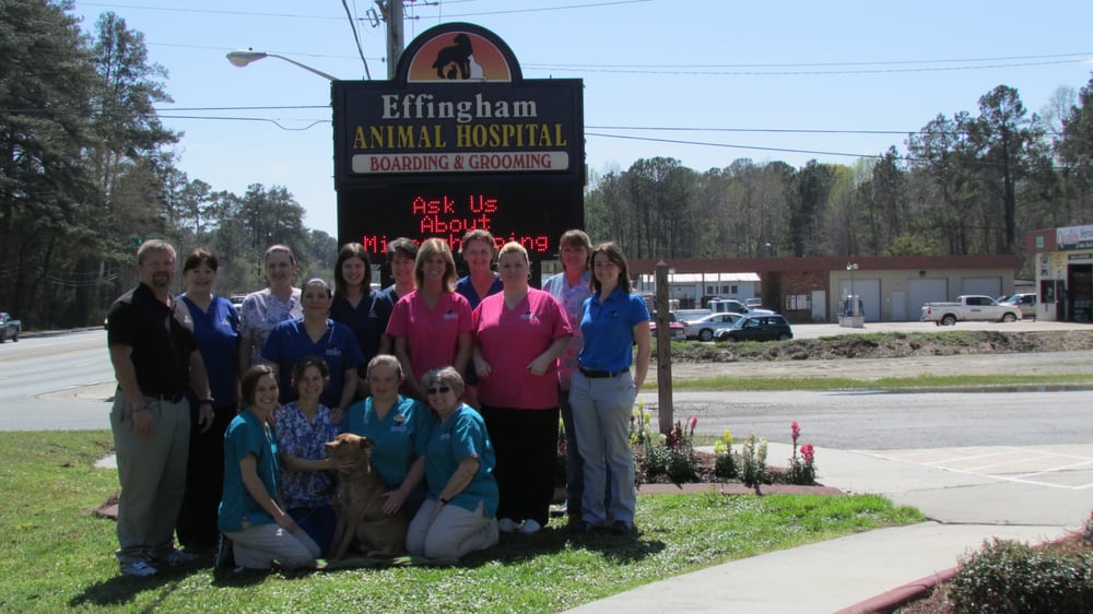 Effingham Animal Hospital 12 Photos Veterinarians 119 S Columbia