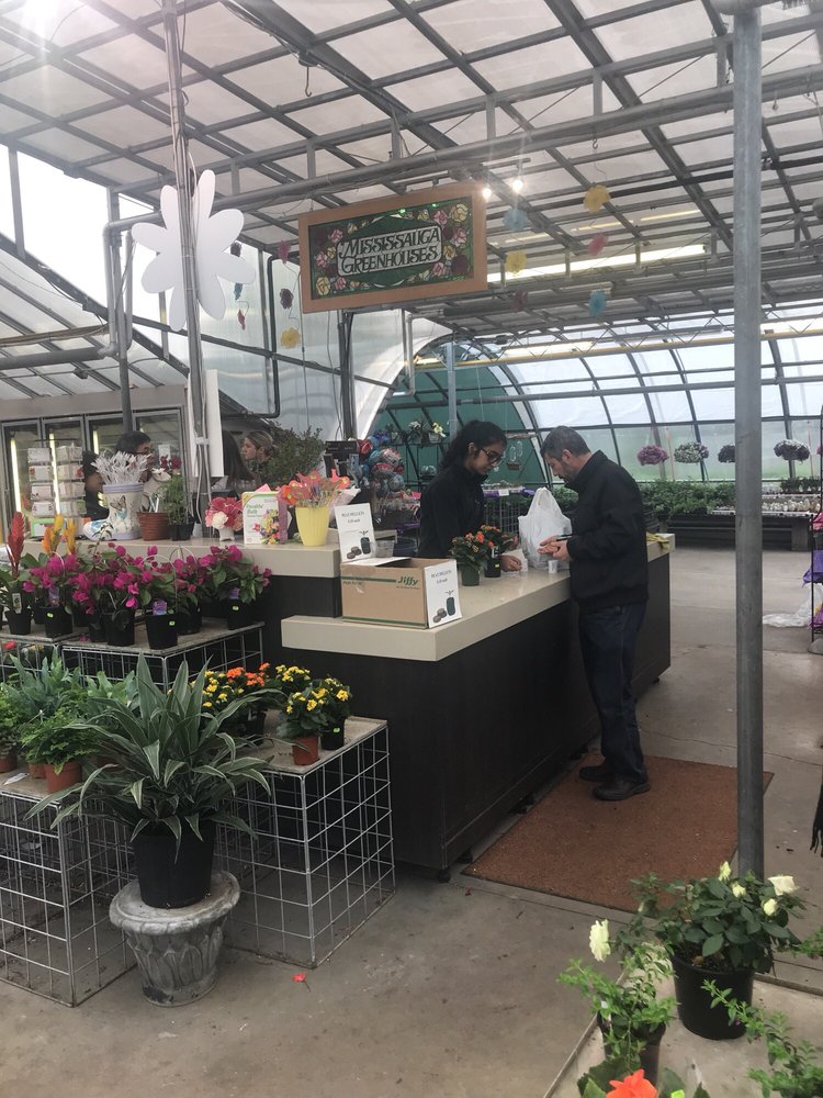 Mississauga Greenhouses & Florist 10 Photos Florists 3225 Winston