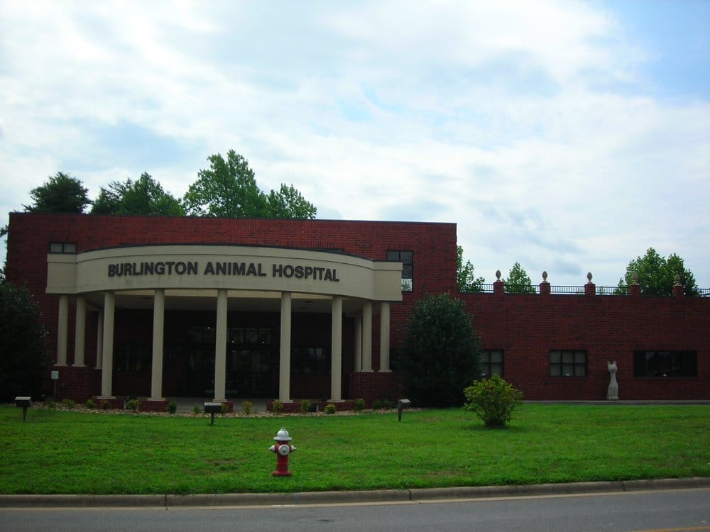 Burlington Animal Hospital 15 Photos Veterinarians 3496 Burlington Animal Hospital 15 Photos Veterinarians 3496