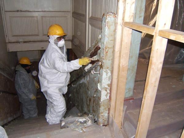 image of business Bergo Environmental Services