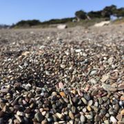 Moonstone Beach 429 Photos 147 Reviews Beaches March 2017 Photo Of Moonstone Beach Cambria Ca United States