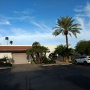 Treeland Nurseries 17 Photos 27 Reviews Gardening Photo Of Treeland Nurseries Mesa Az United States