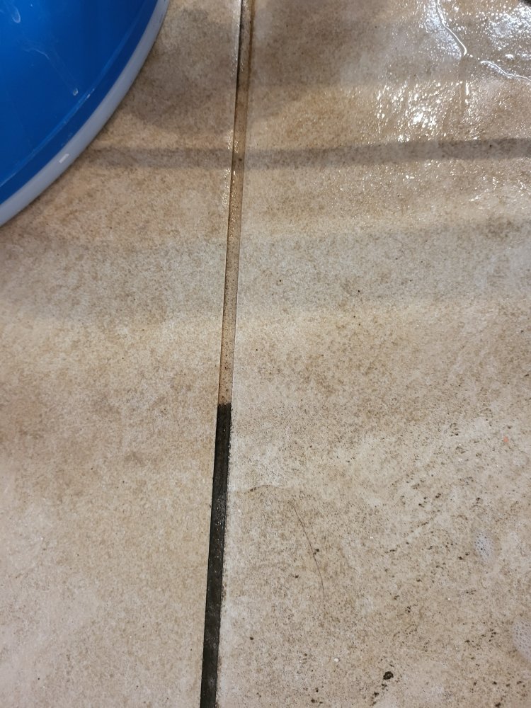 Carpenter's Steam Cleaning