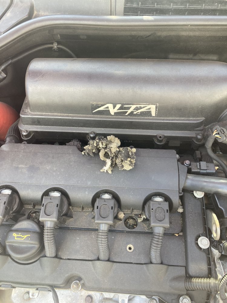 Master Tech Automotive -Vancouver