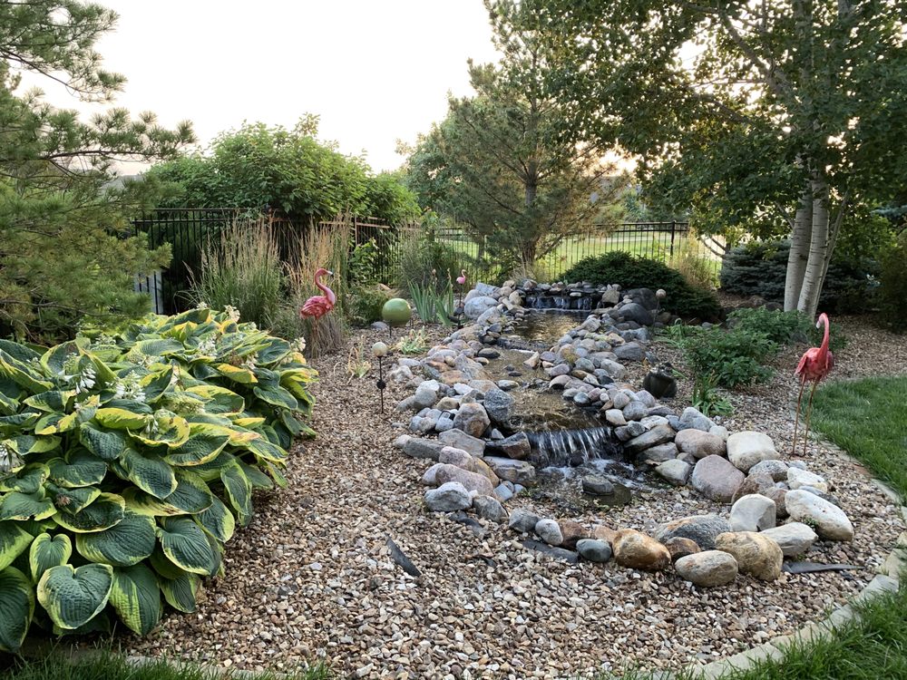 Rose Landscaping