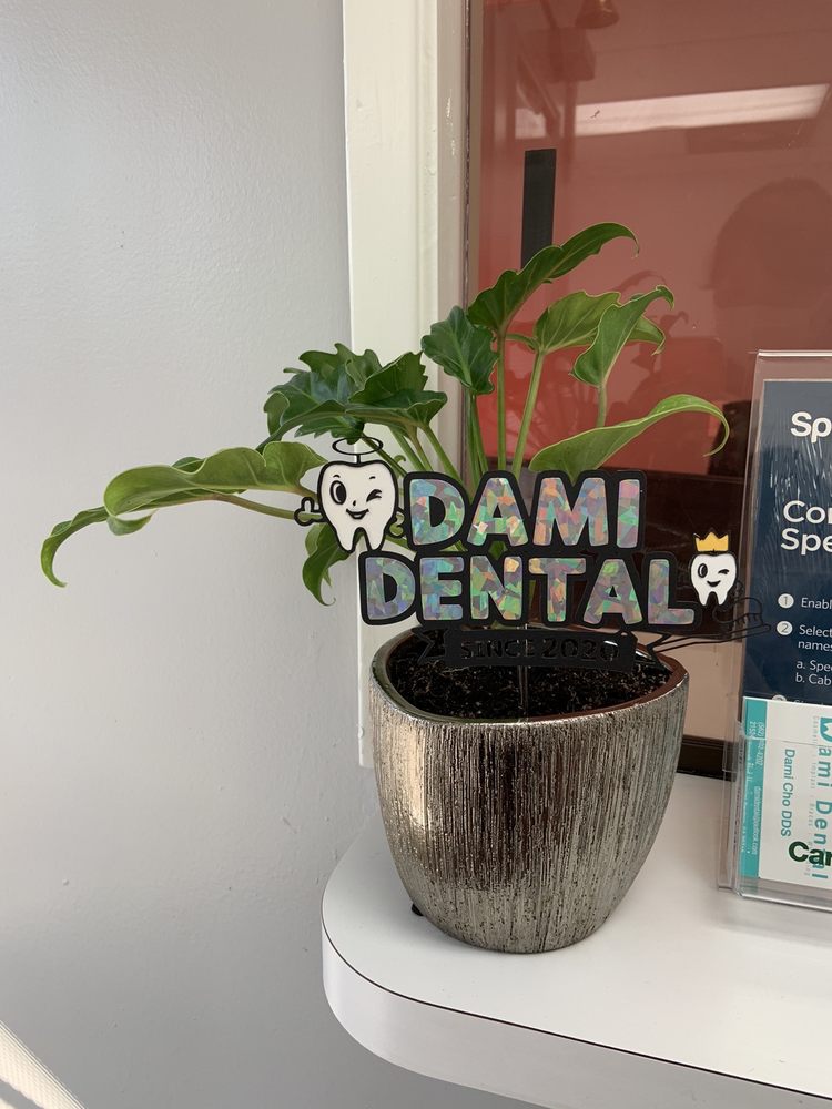 image of business Dami Dental
