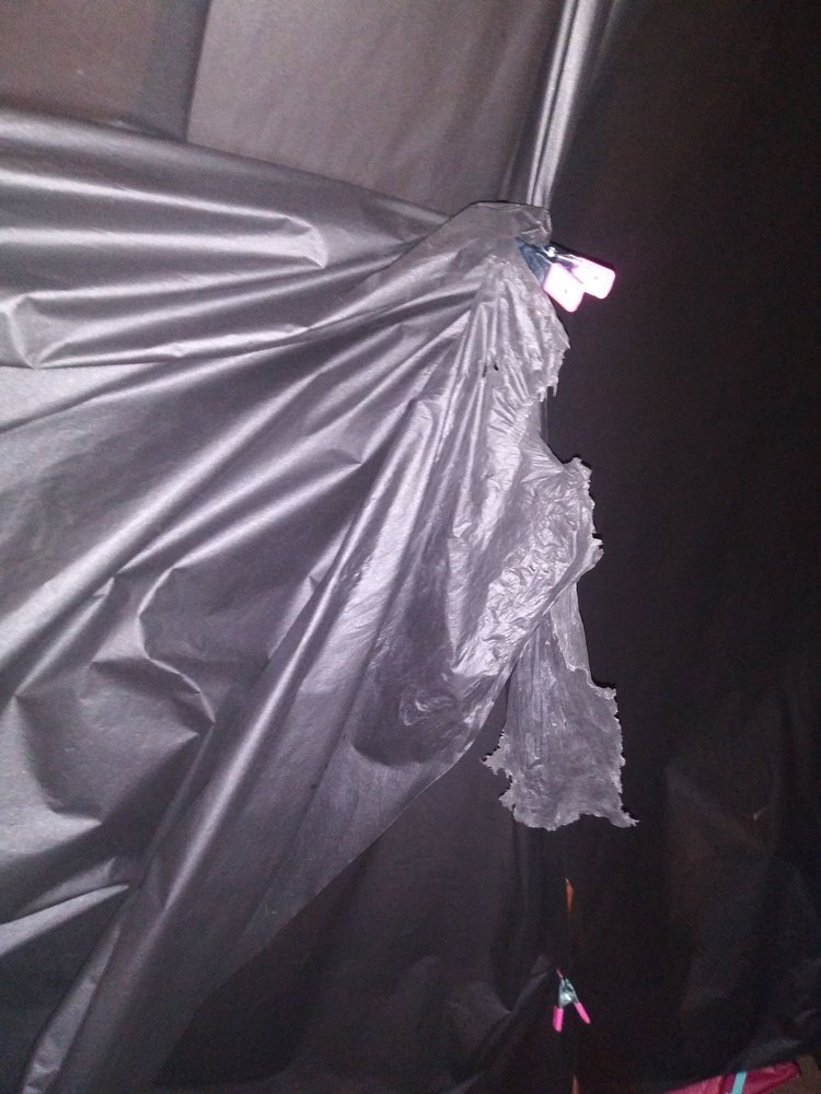 Otho's Pest Management