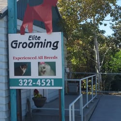 grooming boise elite grooming est 233 tica de mascotas 5111 w emerald st boise id estados unidos grooming boise elite grooming est 233 tica de mascotas 5111 w emerald st boise id estados unidos
