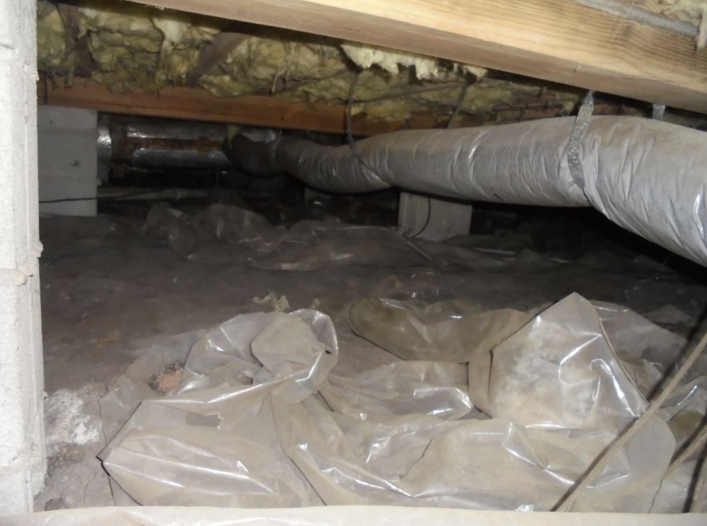 Riggs Moisture, Termite, & Pest