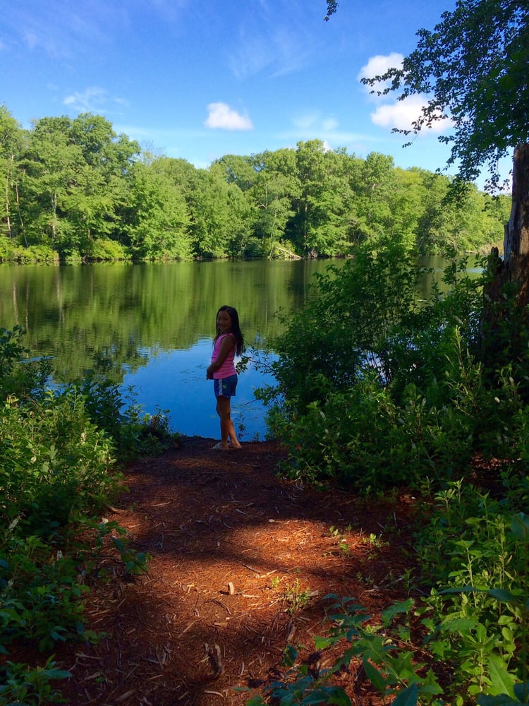 Hopeville Pond State Park 25 Photos Parks 193 Roode Rd, Jewett City, CT Phone Number Yelp
