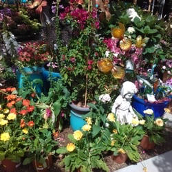 Armstrong Garden Centers 10 Photos 22 Reviews Nurseries Photo Of Armstrong Garden Centers Del Mar Ca United States