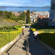Lyon Street Steps - San Francisco, CA, United States. Lyon Street Steps on a Sunny Saturday Morning