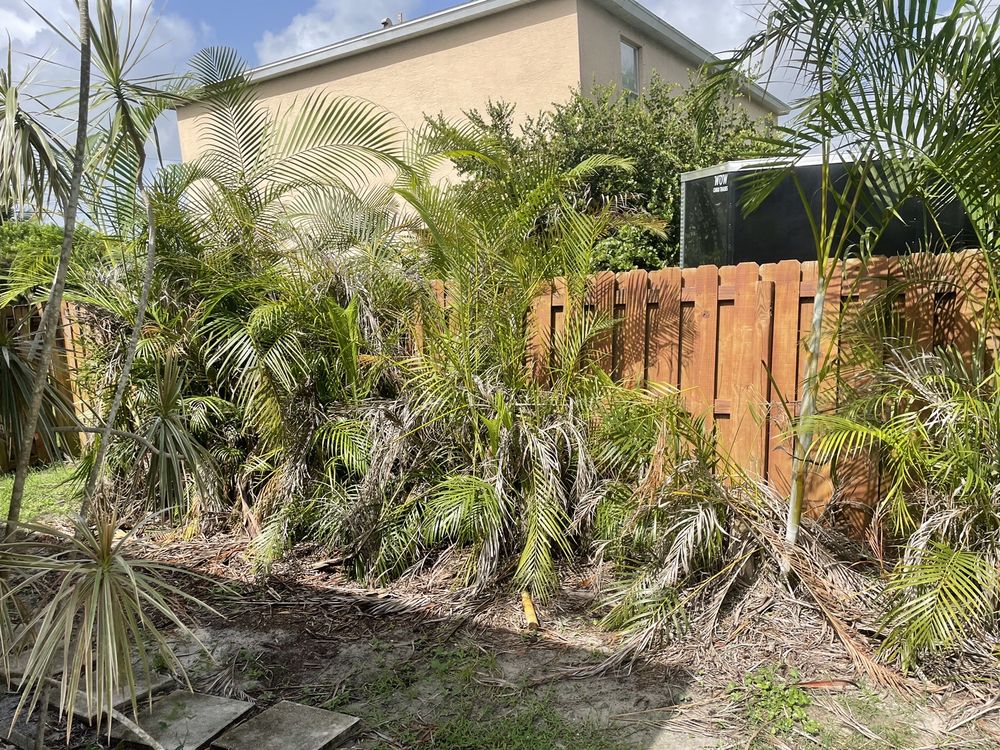 Ecker's Lawn & Tree Services