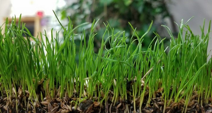 Green Unlimited