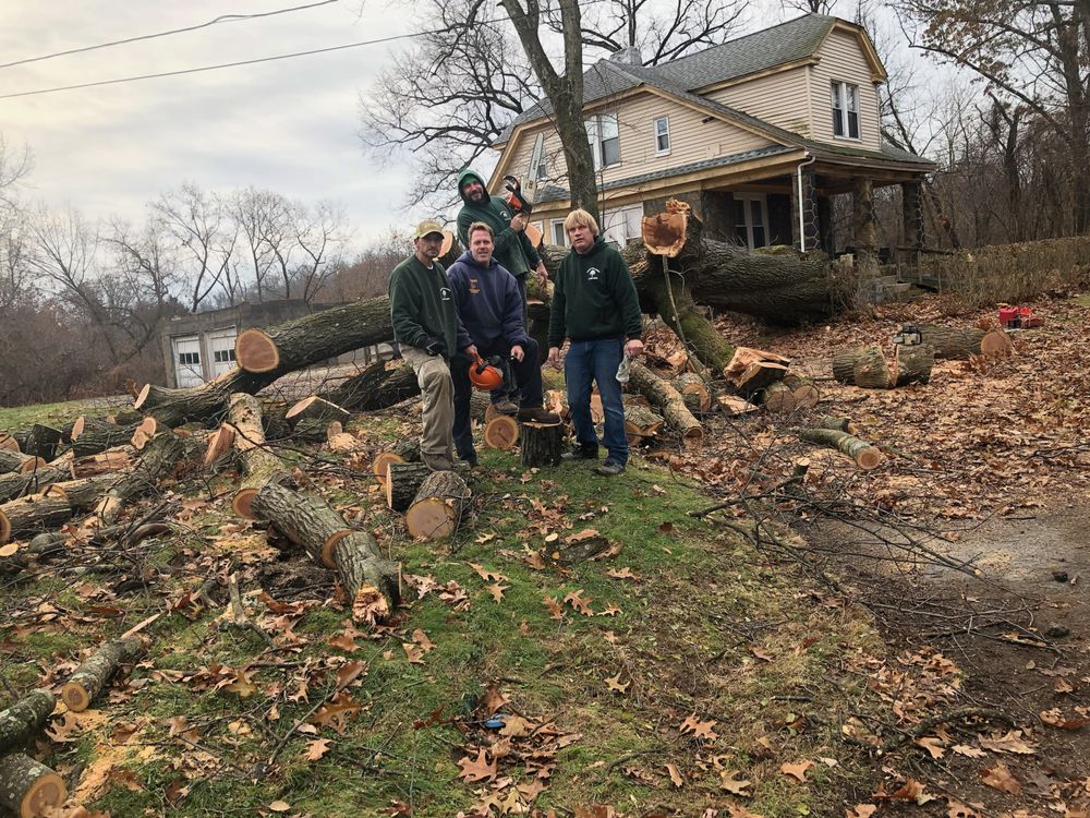 Mason's Tree Service