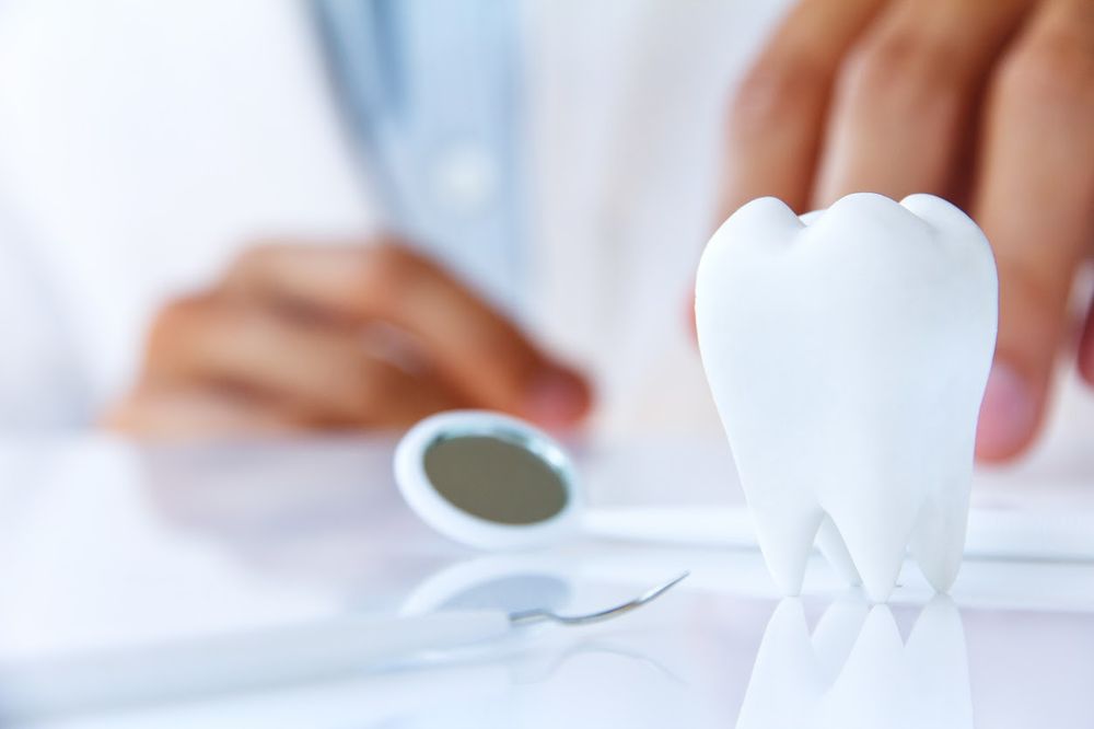 image of business Steven D Jacobs, DDS
