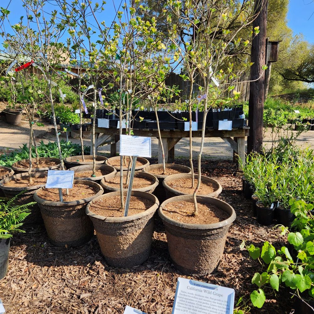 Valley Girl (Fresno/Cv) Last Updated April 2024 Yelp