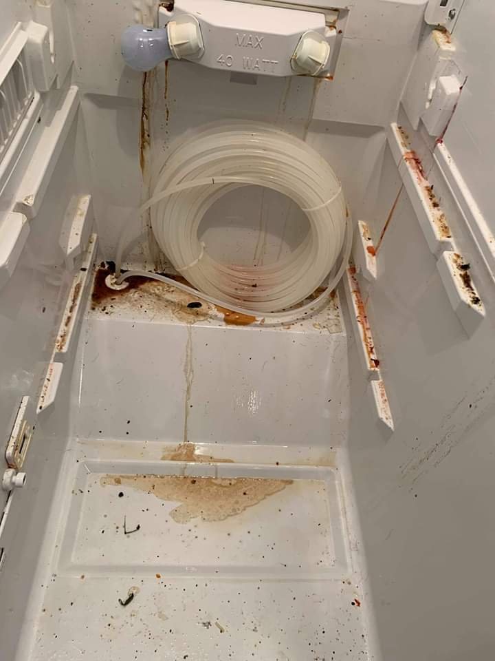 Every Last Detail Cleaning
