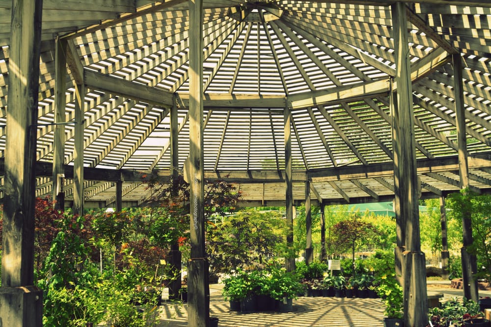 Carson's Nurseries