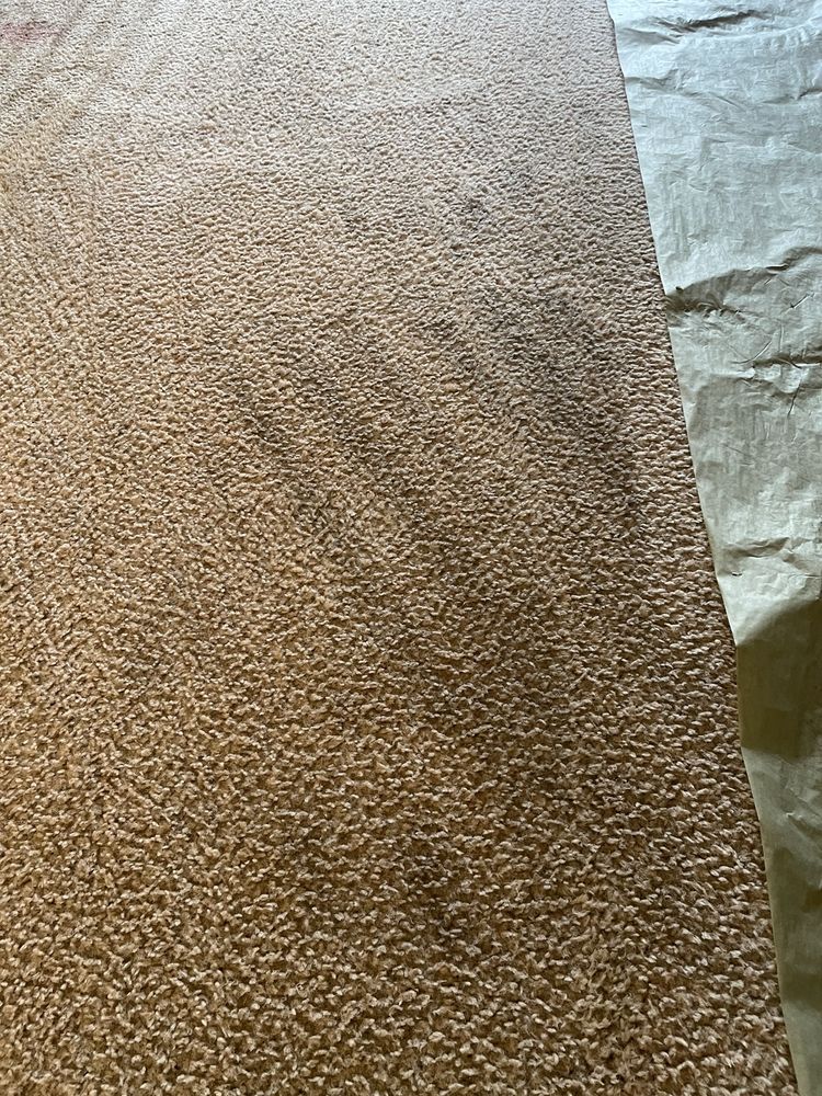 Dave's Carpet & Upholstery Cleaning