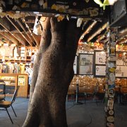 Captain Tony’s Saloon - 169 Photos & 152 Reviews - Dive Bars - 428 ...