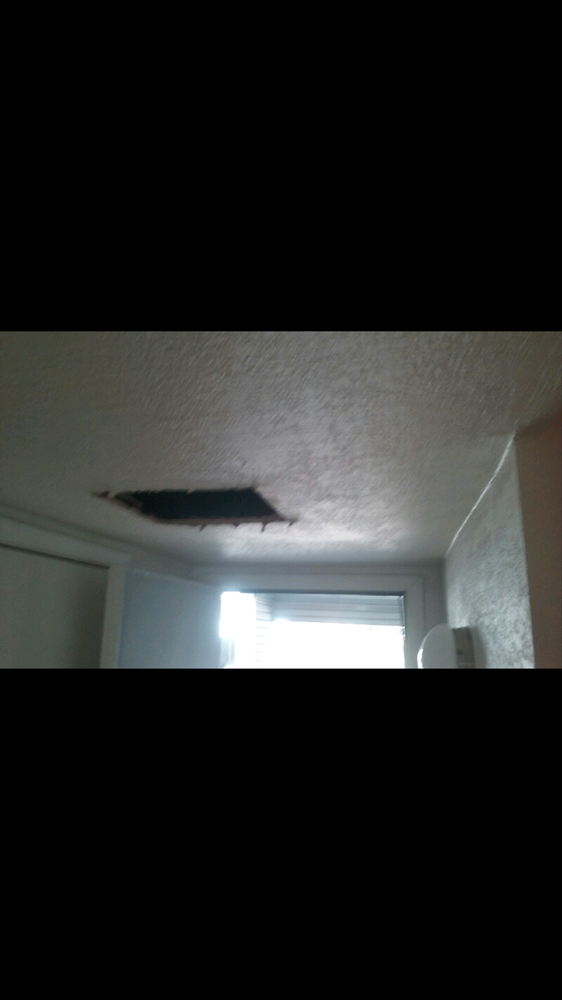 Penelope Painting And Drywall
