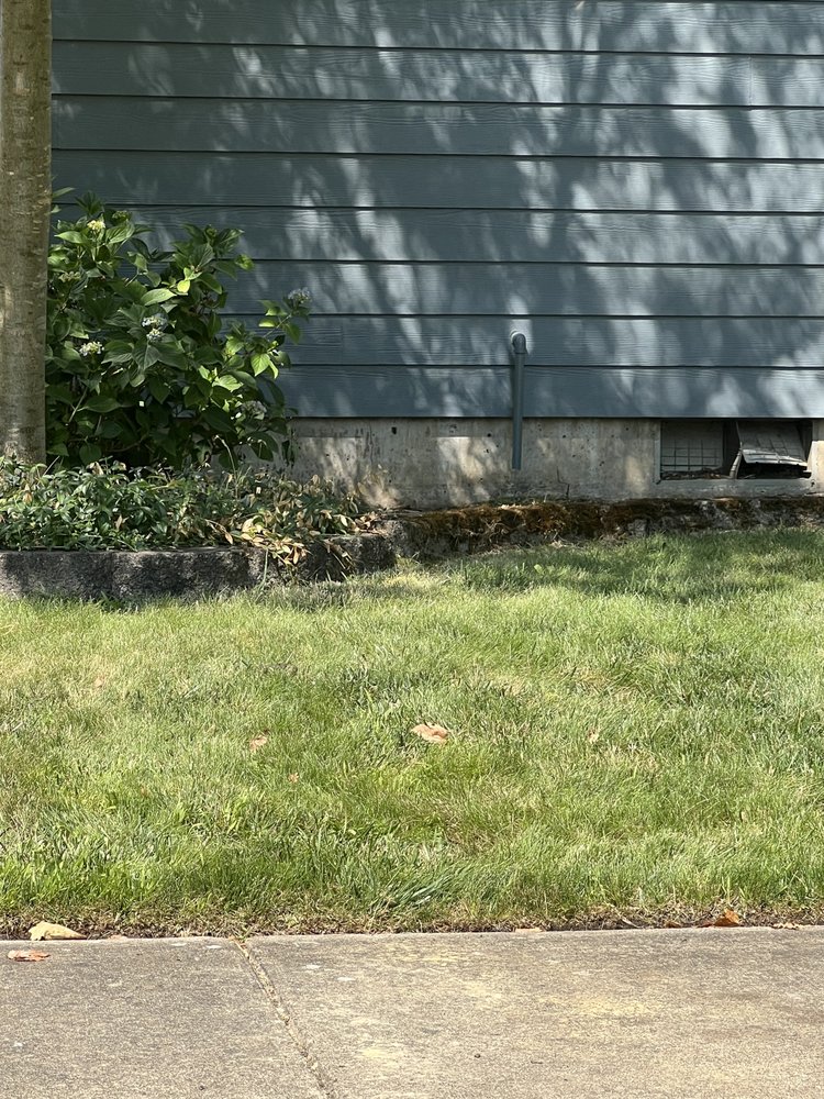 image of business Villa Contracting
