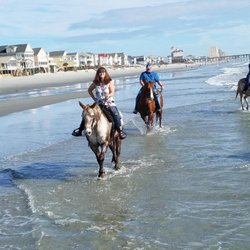 Horseback Riding Of Myrtle Beach 13 Photos 14 Reviews Photo Of Horseback Riding Myrtle Beach Conway Sc United States Best