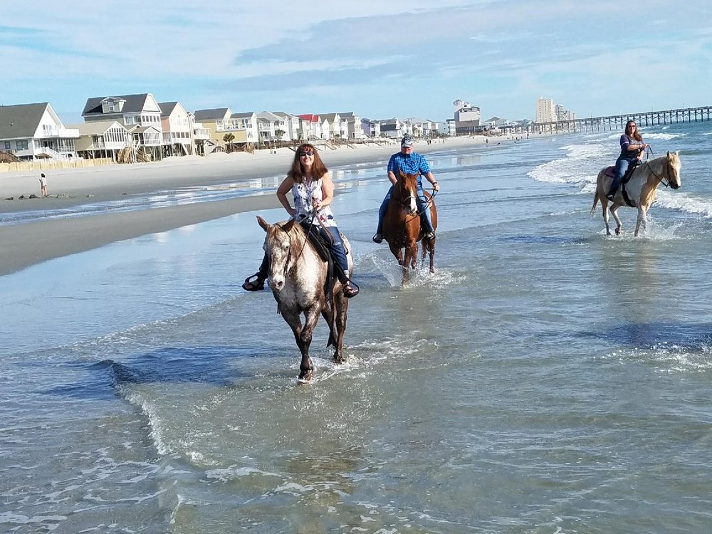 Horseback Riding of Myrtle Beach 15 Photos & 14 Reviews Horseback